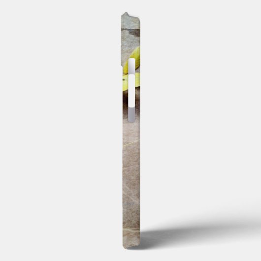Coques Case-Mate iPhone Herbarium V (Verso / Gauche)