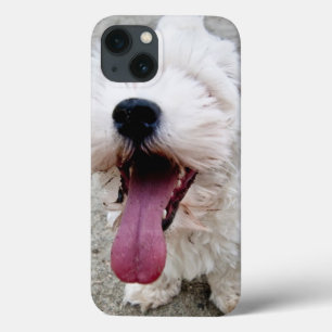 Etui iPhone Case-Mate Heureux Chien blanc chiot, maltais, maltipoo.