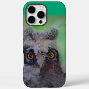 Coques iPhone 16 Pro Max Hibou