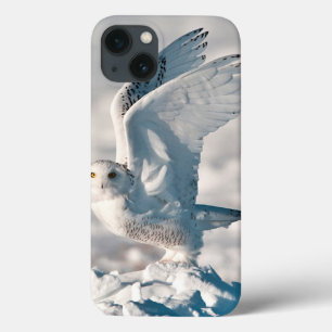 iPhone 13 Coque Hibou blanc décollant de la neige