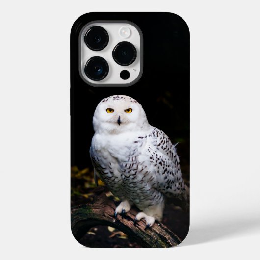Coques Case-Mate iPhone Hibou blanc majestueux d'hiver (Verso)