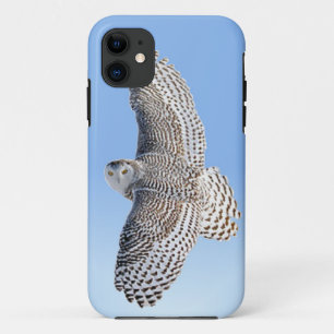 Coques Pour iPhone Hibou de Milou