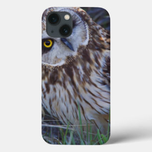 iPhone 13 Case Hibou des marais