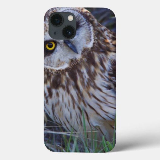 Coques Case-Mate iPhone Hibou des marais (Verso)
