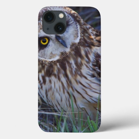 Coques Case-Mate iPhone Hibou des marais (Verso)