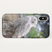 Coques Case-Mate iPhone Hibou des neiges... (Dos (Horizontal))