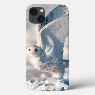 Etui iPhone 13 Hibou des neiges décollant de la neige