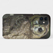 Coques Case-Mate iPhone Hibou repéré du nord (Dos (Horizontal))