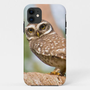 Coques Pour iPhone Hibou repéré sur le vol de matin
