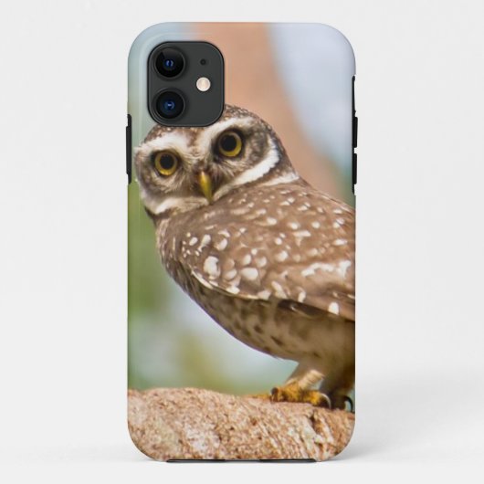 Coques Case-Mate iPhone Hibou repéré sur le vol de matin (Dos)