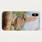 Coques Case-Mate iPhone Hibou repéré sur le vol de matin (Dos (Horizontal))