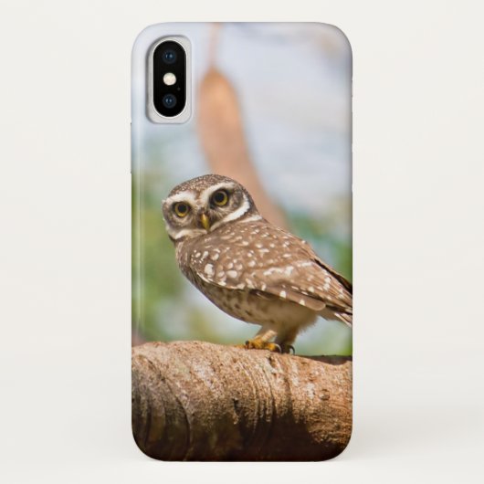 Coques Case-Mate iPhone Hibou repéré sur le vol de matin (Dos)