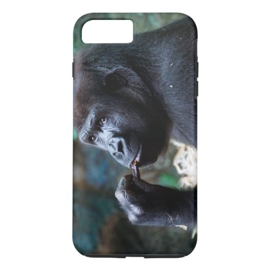 Coques Case-Mate iPhone Highland Gorilla - cueillir des dents (Dos)