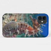 Coques Case-Mate iPhone Hippocampe Ramulosus de l'hippocampe | (Dos (Horizontal))