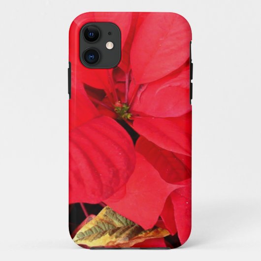 Coques Case-Mate iPhone Holly Point Poinsettias vacances Floral (Dos)
