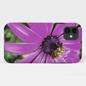 Coques Case-Mate iPhone Honey Bee Sur Un Daisy Africain Violet (Dos (Horizontal))