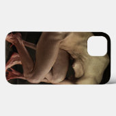 Coques Case-Mate iPhone Honte 2012 (Verso (horizontal))