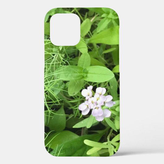 Coques Case-Mate iPhone Hope Casemate dur (Verso)