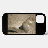 Coques Case-Mate iPhone Horatio affamé d'écureuil (Verso (horizontal))