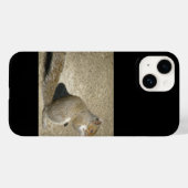 Coques Case-Mate iPhone Horatio affamé d'écureuil (Verso (horizontal))