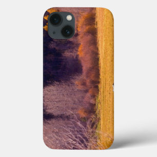 iPhone 13 Coque Horse In Fall I
