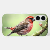 COQUES Case-Mate iPhone HOUSE FINCH BIRD AVIAN BACKYARD (Verso (horizontal))
