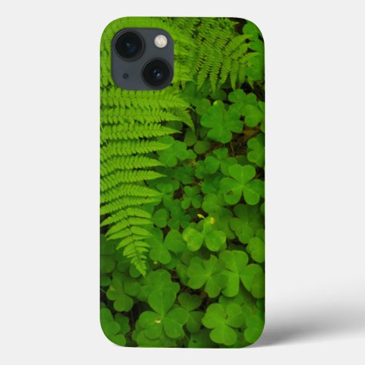 Coques Case-Mate iPhone Humboldt Redwoods State Park (Verso)