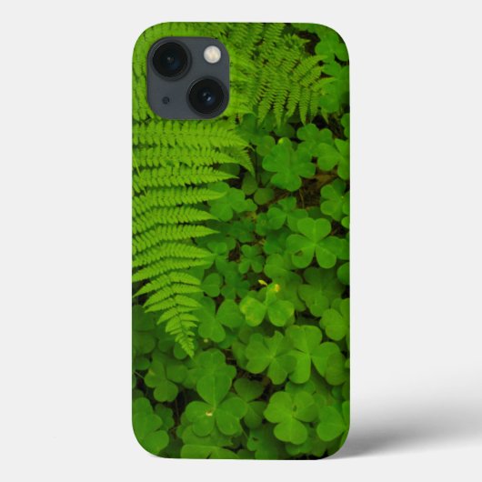 Coques Case-Mate iPhone Humboldt Redwoods State Park (Verso)
