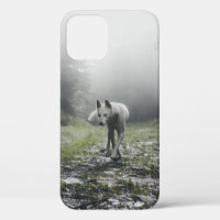 Husky sibérien blanc