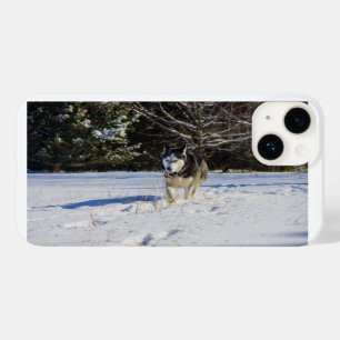 Coque Pour iPhone 14 Husky Sibérien Dans La Neige