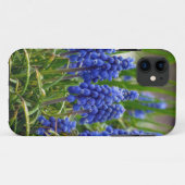 Coques Case-Mate iPhone Hyacinthe de raisin (Dos (Horizontal))