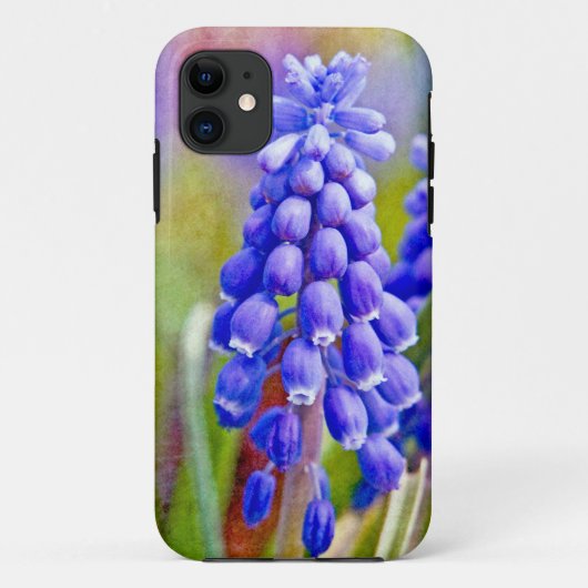 Coques Case-Mate iPhone Hyacinthes de raisin (Dos)