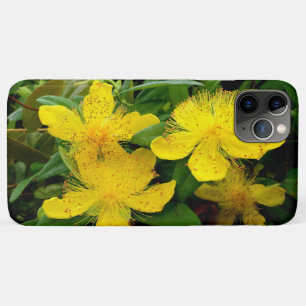 Case-Mate iPhone Case Hypericum calycinum