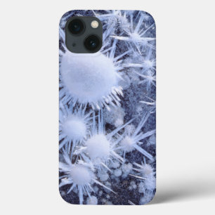 Etui iPhone Case-Mate Ice crystals in the Sierra