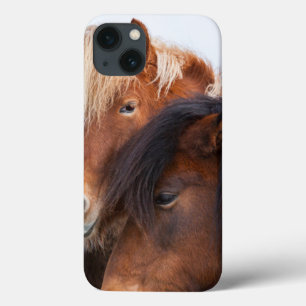 iPhone 13 Case Icelandic Horse during winter on Iceland