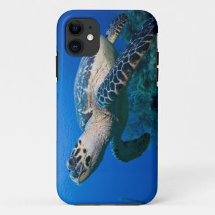 Case-Mate iPhone Case Îles Caïmans, Little Cayman Island, Sous l'eau 2