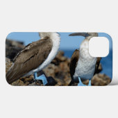 Coques Case-Mate iPhone Îles de Galapagos, île d'Isabela (Verso (horizontal))