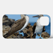Coques Case-Mate iPhone Îles Galapagos, île Isabela (Verso (horizontal))