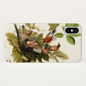 Coques Case-Mate iPhone Illustration Audubon American Robin Wildlife Bird (Dos (Horizontal))