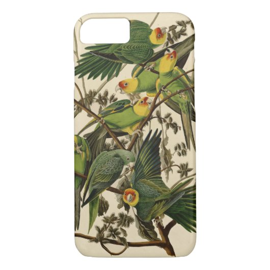 Coques Case-Mate iPhone Illustration Audubon Carolina Parrot Bird (Dos)
