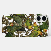 Coques Case-Mate iPhone Illustration Audubon Carolina Parrot Bird (Verso (horizontal))