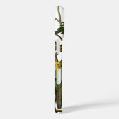 Coques Case-Mate iPhone Illustration Audubon Carolina Parrot Bird (Verso / Droite)