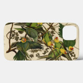 Coques Case-Mate iPhone Illustration Audubon Carolina Parrot Bird (Verso (horizontal))