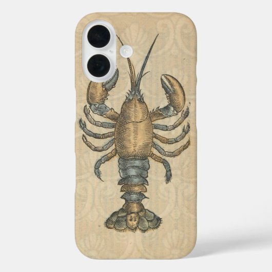 Coques Case-Mate iPhone Illustration de homard, fruits de mer du Maine (Verso)
