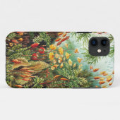 Coques Case-Mate iPhone Illustration de Muscinae par Ernst Haeckel (Dos (Horizontal))