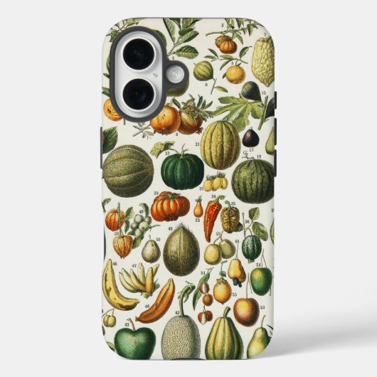Coques Case-Mate iPhone Illustration scientifique végétale des fruits (Verso)