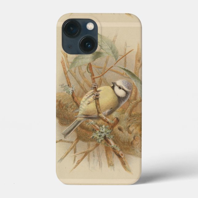 Coques Case-Mate iPhone Illustration vintage de Bluetit (Verso)