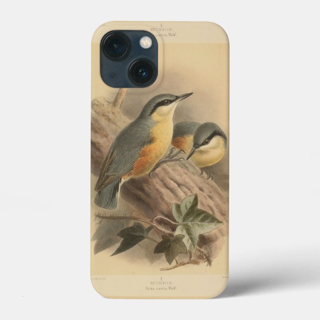 Coques Case-Mate iPhone Illustration vintage de Nuthatch (Verso)
