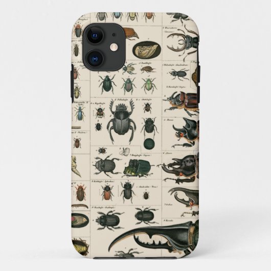 Coques Case-Mate iPhone Illustration vintage de scarabée (Dos)