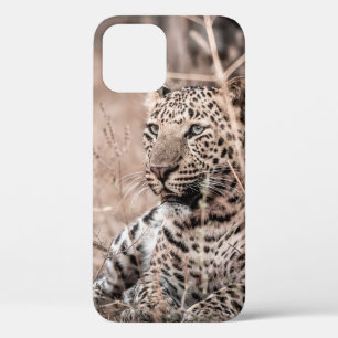 Case-Mate iPhone Case Image d'art d'Huge sauvage léopard ou panthe